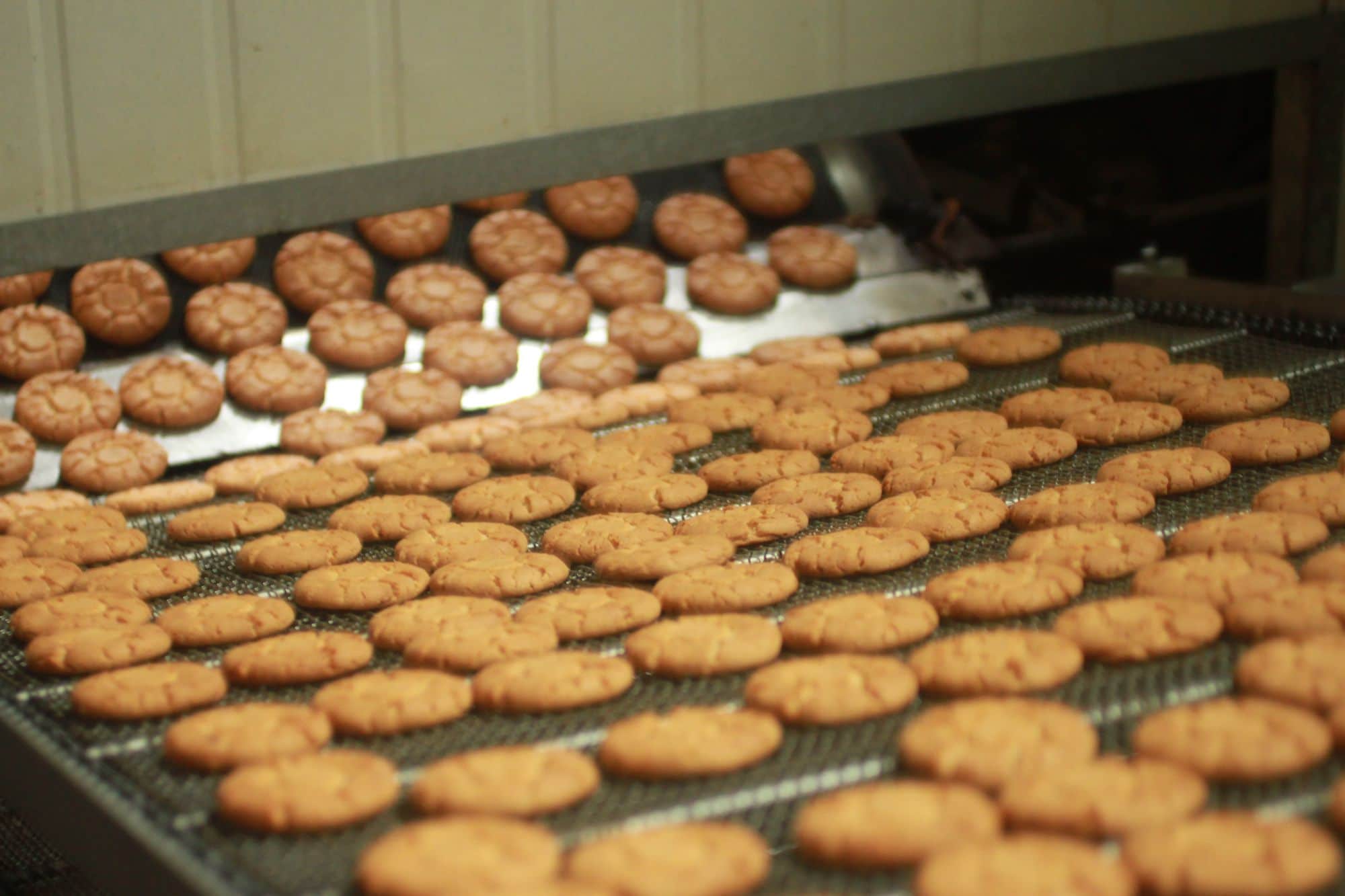 Excel Online Kullanarak RapidStart Uygulamaları Verileriyle Çalışmak