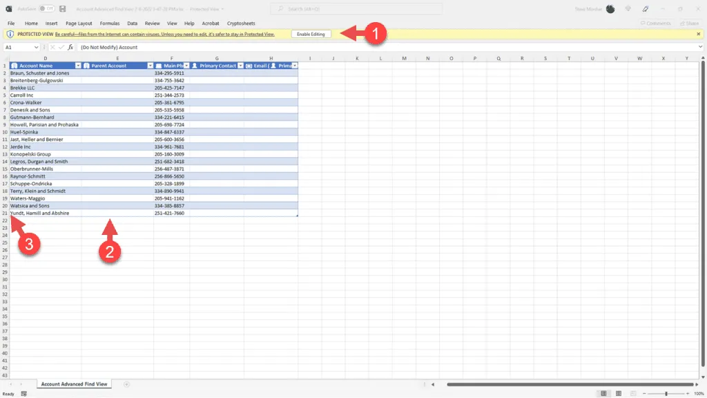 Verify imported data in RapidStart CRM